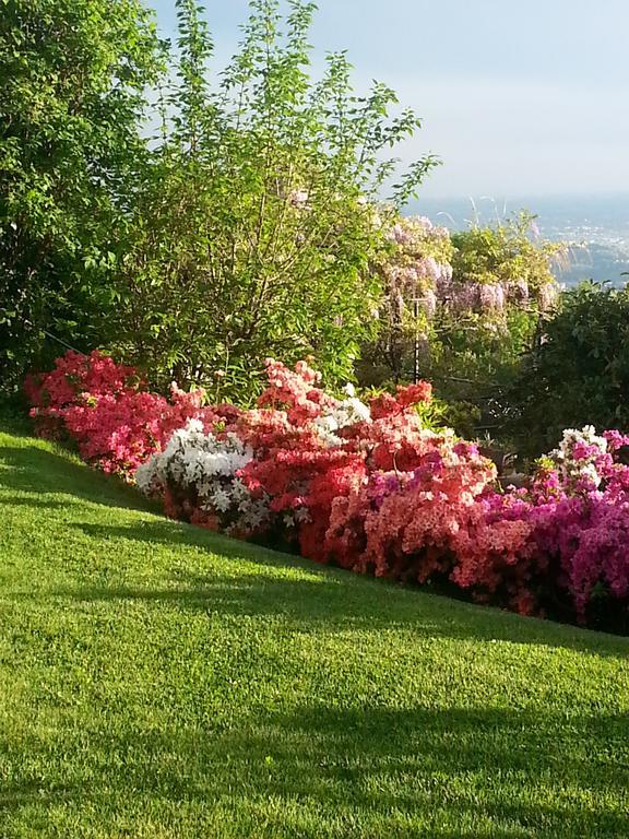 Casa Vacanze Le Violette Villa Brunate Exterior foto